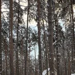 Маршрут для квадроциклов — загородный отдых, база Усадьба