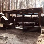 Беседка среди сосен — шашлыки на природе, база Усадьба