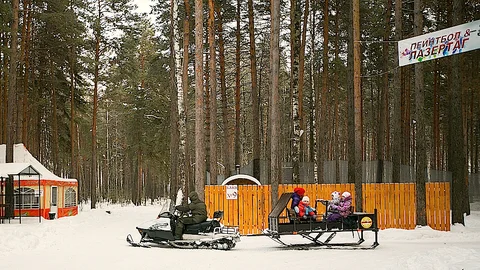 Катание на санях в Тюмени