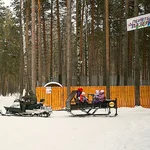 Катание на санях в Тюмени — зимний отдых на базе Усадьба
