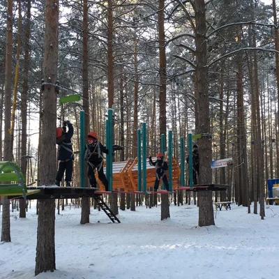 Экстремальная трасса верёвочного парка — отдых за городом, Тюмень