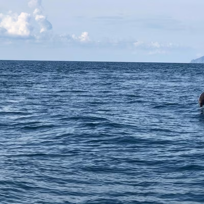 Домик у моря в Крыму — отдых на побережье