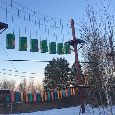 Верёвочный парк среди сосен — загородный отдых в Тюмени