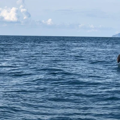 Домик у моря в Крыму — отдых на побережье