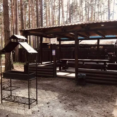 Крытая беседка с грилем — отдых на природе, Тюмень