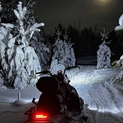 Квадроцикл в сосновом бору — прокат на базе Усадьба в Тюмени