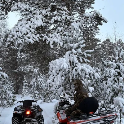 Экскурсия на квадроциклах — отдых на природе, Тюмень