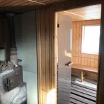 Каменка бани дома 9 — русская баня, загородный отдых в Тюмени