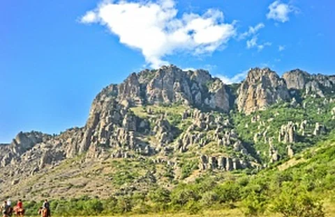 Филиалы в Крыму